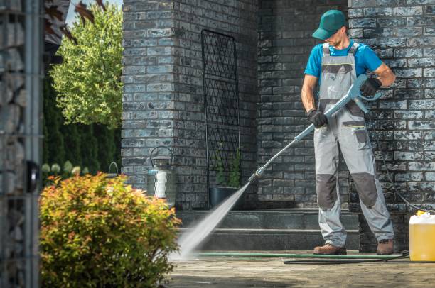 Best Roof Cleaning and Mildew Removal in Westminster, CA